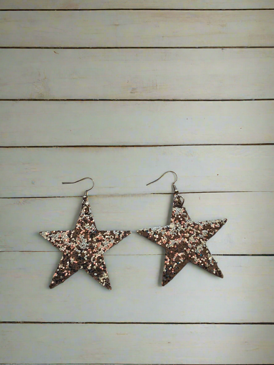 Silver Star Earrings Style # 1070